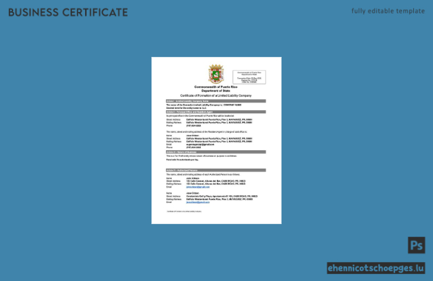 Puerto Rico Gründungsurkunde einer Gesellschaft mit beschränkter Haftung (Word- und PDF-Beispiel)